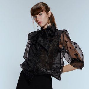 Zara Polka Dot Semi-sheer Shirt with Bow